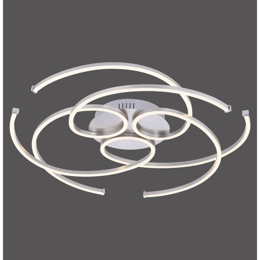 Paul Neuhaus 8165-55 - LED Dimming ceiling light DANILO 3xLED/12W/230V