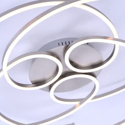 Paul Neuhaus 8165-55 - LED Dimming ceiling light DANILO 3xLED/12W/230V