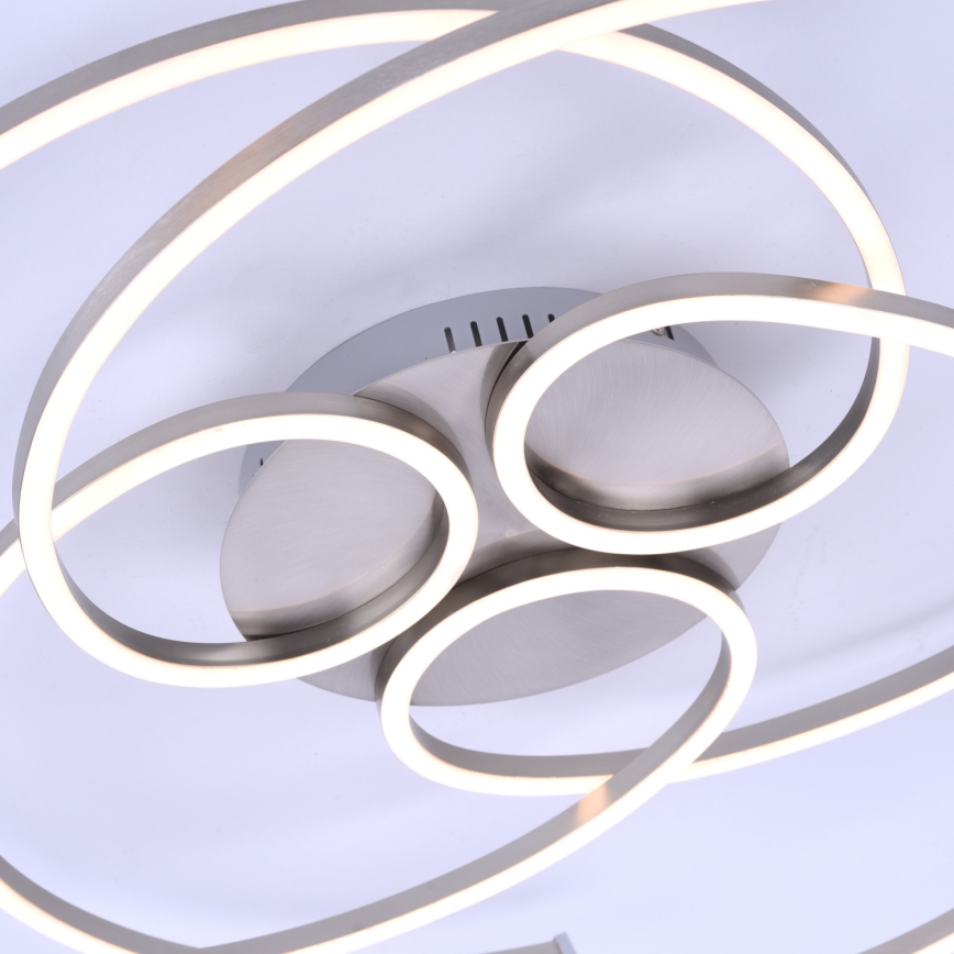 Paul Neuhaus 8165-55 - LED Dimming ceiling light DANILO 3xLED/12W/230V