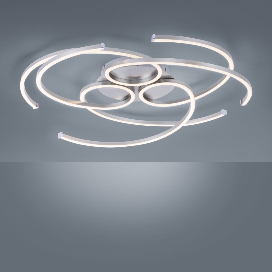 Paul Neuhaus 8165-55 - LED Dimming ceiling light DANILO 3xLED/12W/230V