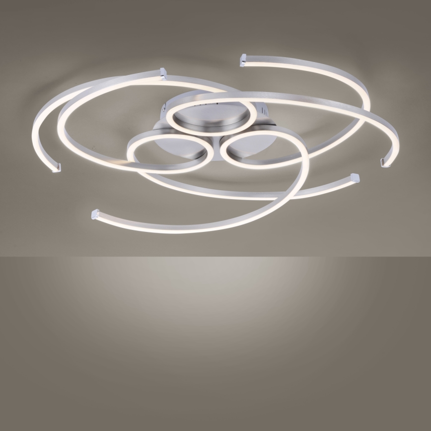 Paul Neuhaus 8165-55 - LED Dimming ceiling light DANILO 3xLED/12W/230V