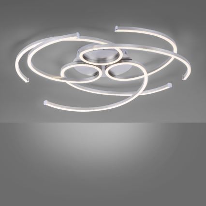 Paul Neuhaus 8165-55 - LED Dimming ceiling light DANILO 3xLED/12W/230V