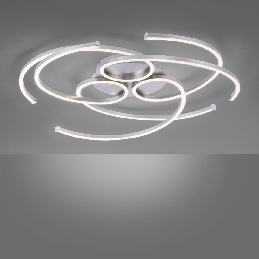 Paul Neuhaus 8165-55 - LED Dimming ceiling light DANILO 3xLED/12W/230V