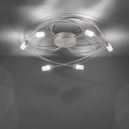Paul Neuhaus 8250-55 - LED Dimmable surface-mounted chandelier NELIA 6xLED/3W/230V