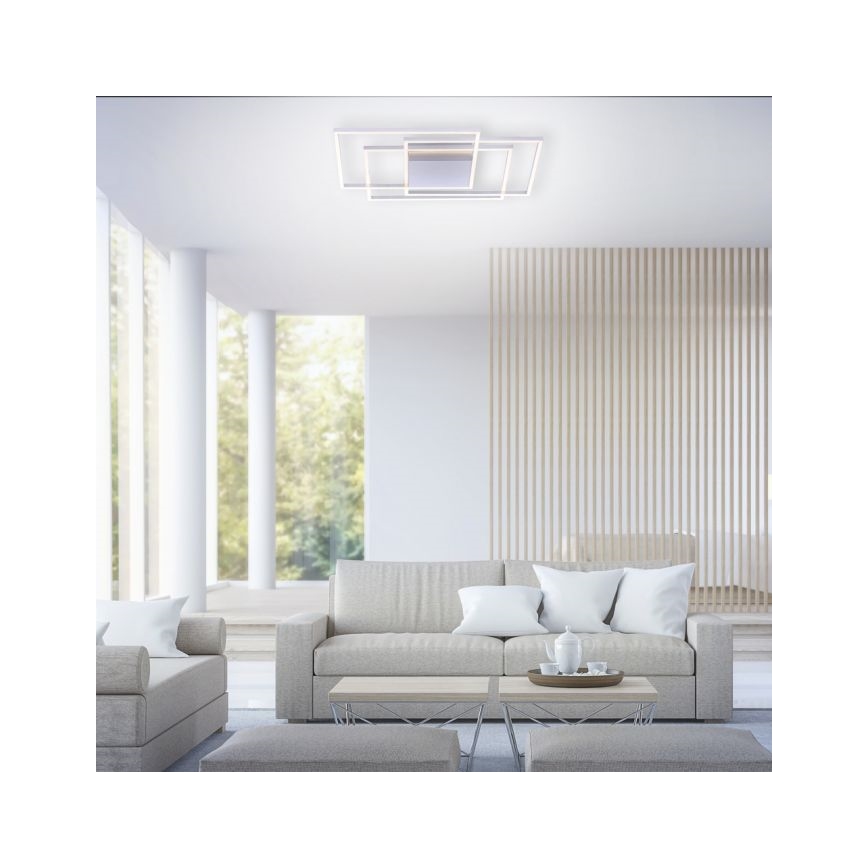 Paul Neuhaus 8256-55 - LED Dimming ceiling light INIGO 3xLED/16W/230V