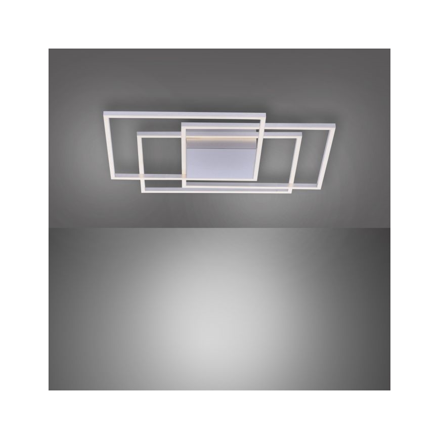 Paul Neuhaus 8256-55 - LED Dimming ceiling light INIGO 3xLED/16W/230V
