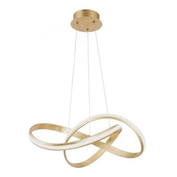 Paul Neuhaus 8291-12 - LED Dimmable chandelier on a string MELINDA 1xLED/30W/230V