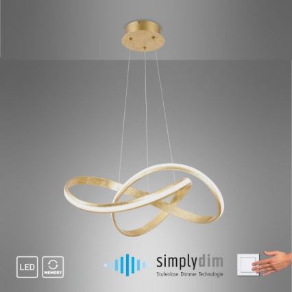 Paul Neuhaus 8291-12 - LED Dimmable chandelier on a string MELINDA LED/30W/230V