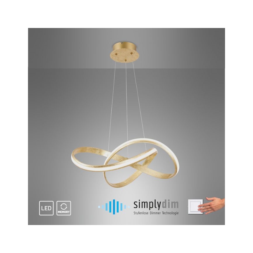 Paul Neuhaus 8291-12 - LED Dimmable chandelier on a string MELINDA LED/30W/230V