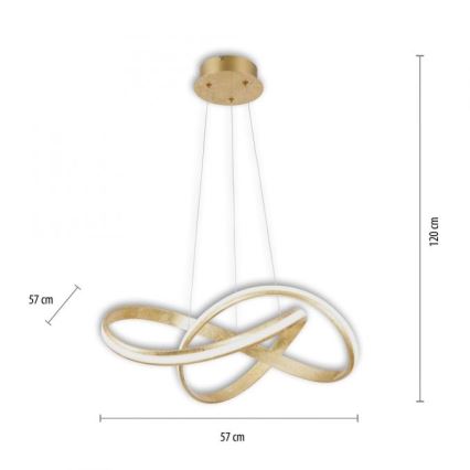 Paul Neuhaus 8291-12 - LED Dimmable chandelier on a string MELINDA LED/30W/230V