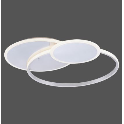 Paul Neuhaus 8318-55 - LED Dimming ceiling light EMILIO LED/53W/230V + remote control