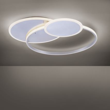 Paul Neuhaus 8318-55 - LED Dimming ceiling light EMILIO LED/53W/230V + remote control