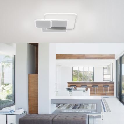 Paul Neuhaus 8319-55 - LED Dimming ceiling light EMILIO LED/53W/230V + remote control