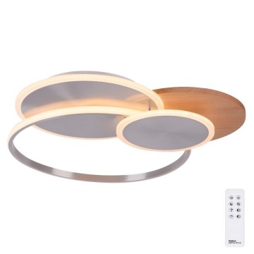 Paul Neuhaus 8328-79 - LED Dimmable ceiling light PALMA LED/50W/230V 2700-5000K pine + remote control