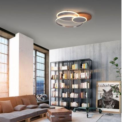 Paul Neuhaus 8328-79 - LED Dimmable ceiling light PALMA LED/50W/230V 2700-5000K pine + remote control