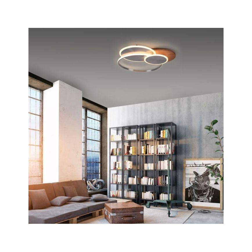 Paul Neuhaus 8328-79 - LED Dimmable ceiling light PALMA LED/50W/230V 2700-5000K pine + remote control