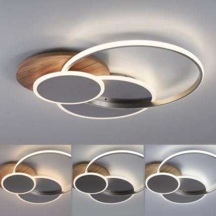 Paul Neuhaus 8328-79 - LED Dimmable ceiling light PALMA LED/50W/230V 2700-5000K pine + remote control