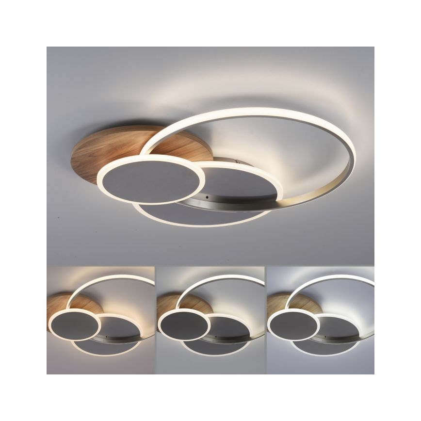 Paul Neuhaus 8328-79 - LED Dimmable ceiling light PALMA LED/50W/230V 2700-5000K pine + remote control