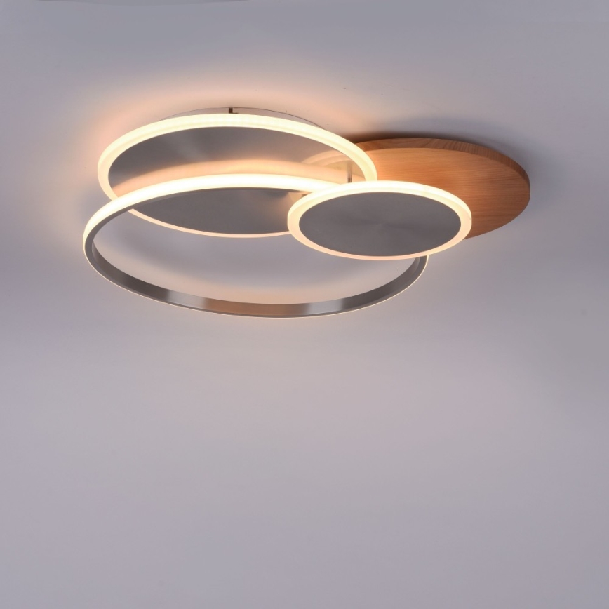 Paul Neuhaus 8328-79 - LED Dimmable ceiling light PALMA LED/50W/230V 2700-5000K pine + remote control