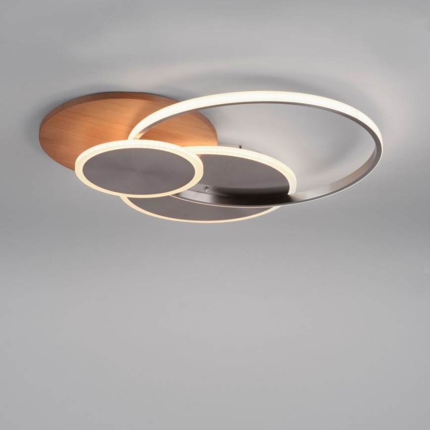 Paul Neuhaus 8328-79 - LED Dimmable ceiling light PALMA LED/50W/230V 2700-5000K pine + remote control
