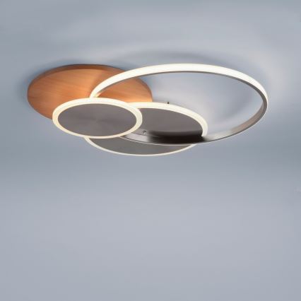 Paul Neuhaus 8328-79 - LED Dimmable ceiling light PALMA LED/50W/230V 2700-5000K pine + remote control