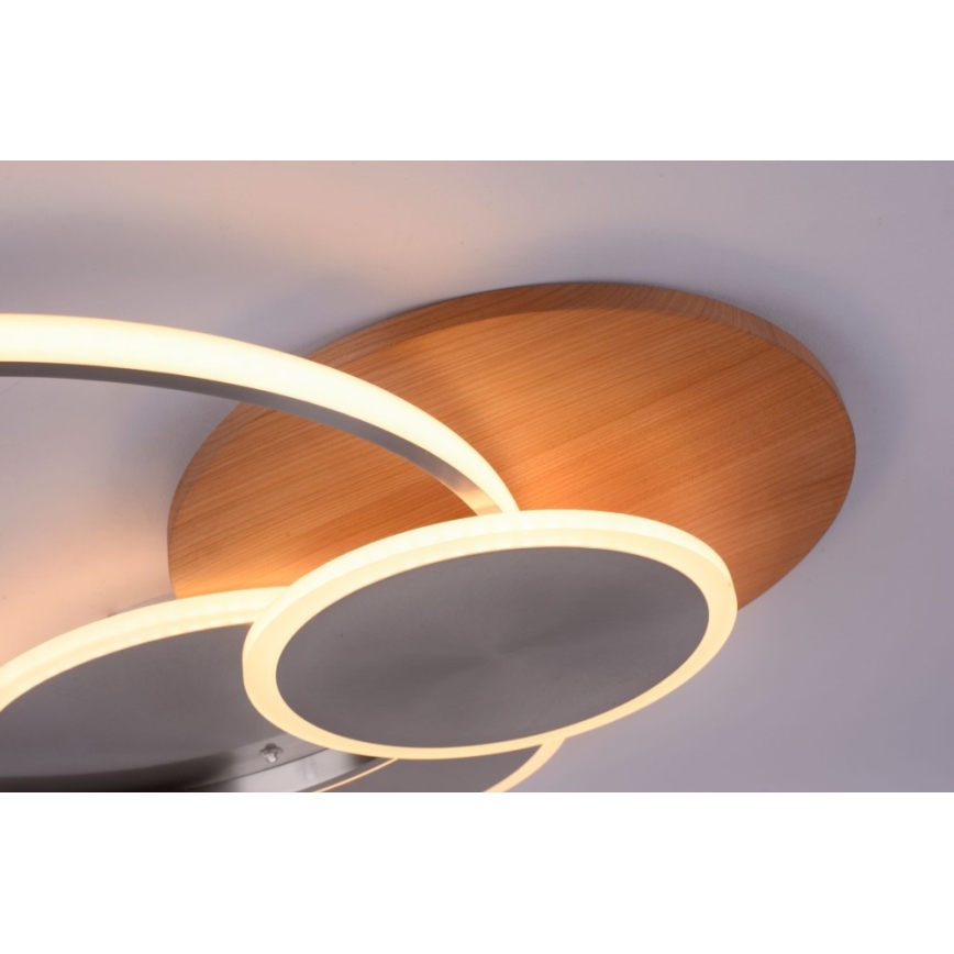 Paul Neuhaus 8328-79 - LED Dimmable ceiling light PALMA LED/50W/230V 2700-5000K pine + remote control