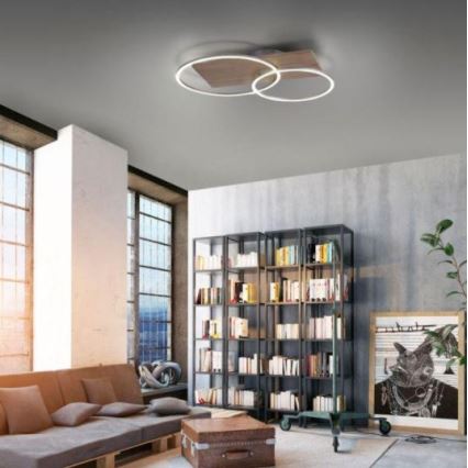 Paul Neuhaus 8329-79 - LED Dimmable surface-mounted chandelier PALMA LED/26W/230V 2700-5000K pine + remote control