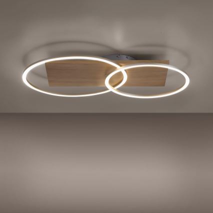 Paul Neuhaus 8329-79 - LED Dimmable surface-mounted chandelier PALMA LED/26W/230V 2700-5000K pine + remote control