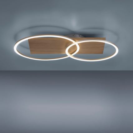 Paul Neuhaus 8329-79 - LED Dimmable surface-mounted chandelier PALMA LED/26W/230V 2700-5000K pine + remote control