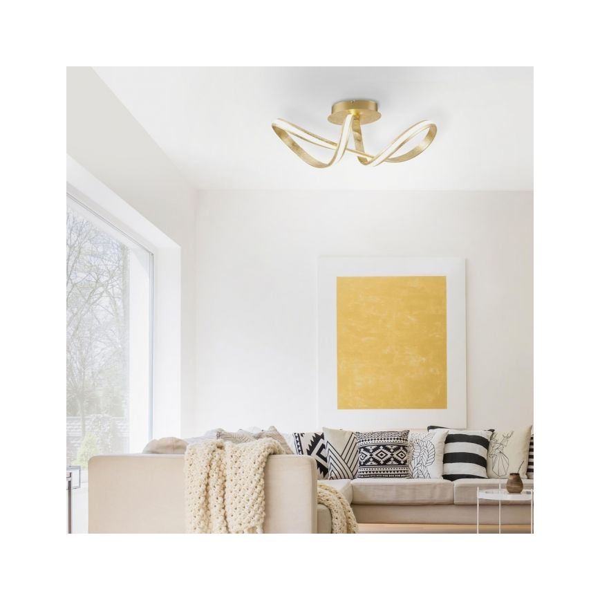 Paul Neuhaus 8331-12 - LED Dimming attached chandelier MELINDA 1xLED/30W/230V