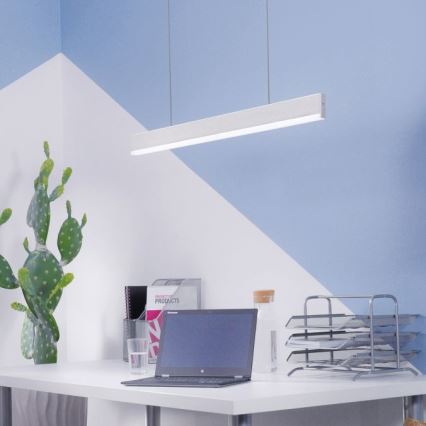 Paul Neuhaus 8363-55 - LED Dimmable chandelier on a string with a sensor ARINA LED/20W/230V