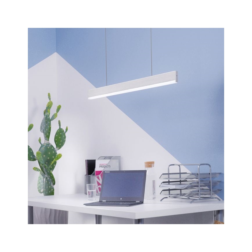 Paul Neuhaus 8363-55 - LED Dimmable chandelier on a string with a sensor ARINA LED/20W/230V
