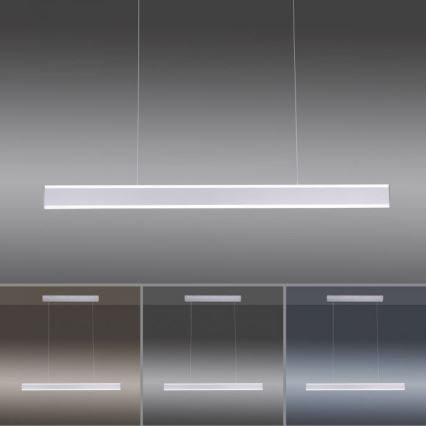 Paul Neuhaus 8363-55 - LED Dimmable chandelier on a string with a sensor ARINA LED/20W/230V