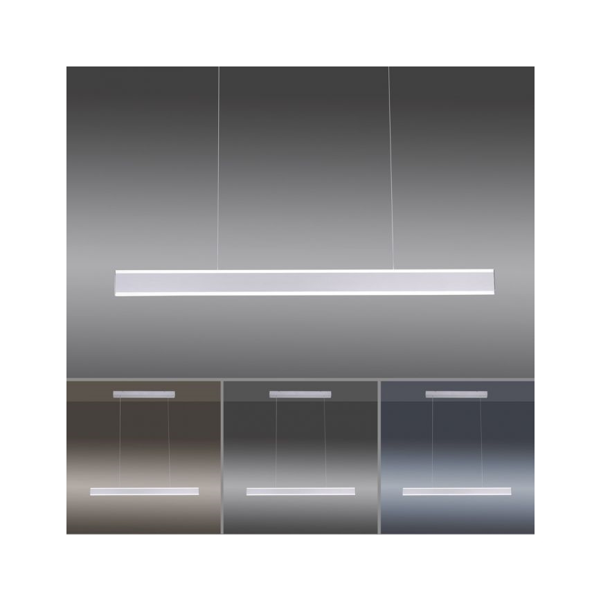 Paul Neuhaus 8363-55 - LED Dimmable chandelier on a string with a sensor ARINA LED/20W/230V