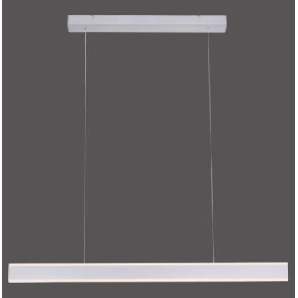 Paul Neuhaus 8363-55 - LED Dimmable chandelier on a string with a sensor ARINA LED/20W/230V