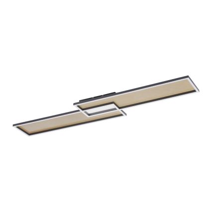 Paul Neuhaus 8371-18 - LED Dimming ceiling light AMARA LED/40W/230V + RC