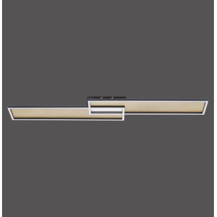 Paul Neuhaus 8371-18 - LED Dimming ceiling light AMARA LED/40W/230V + RC