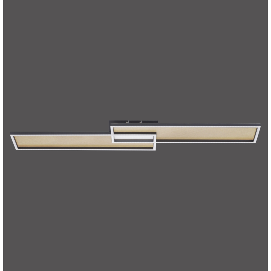 Paul Neuhaus 8371-18 - LED Dimming ceiling light AMARA LED/40W/230V + RC