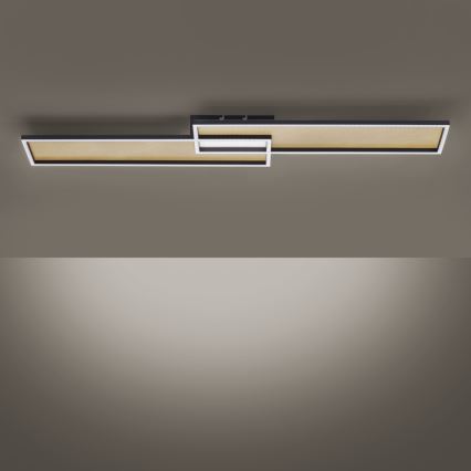 Paul Neuhaus 8371-18 - LED Dimming ceiling light AMARA LED/40W/230V + RC