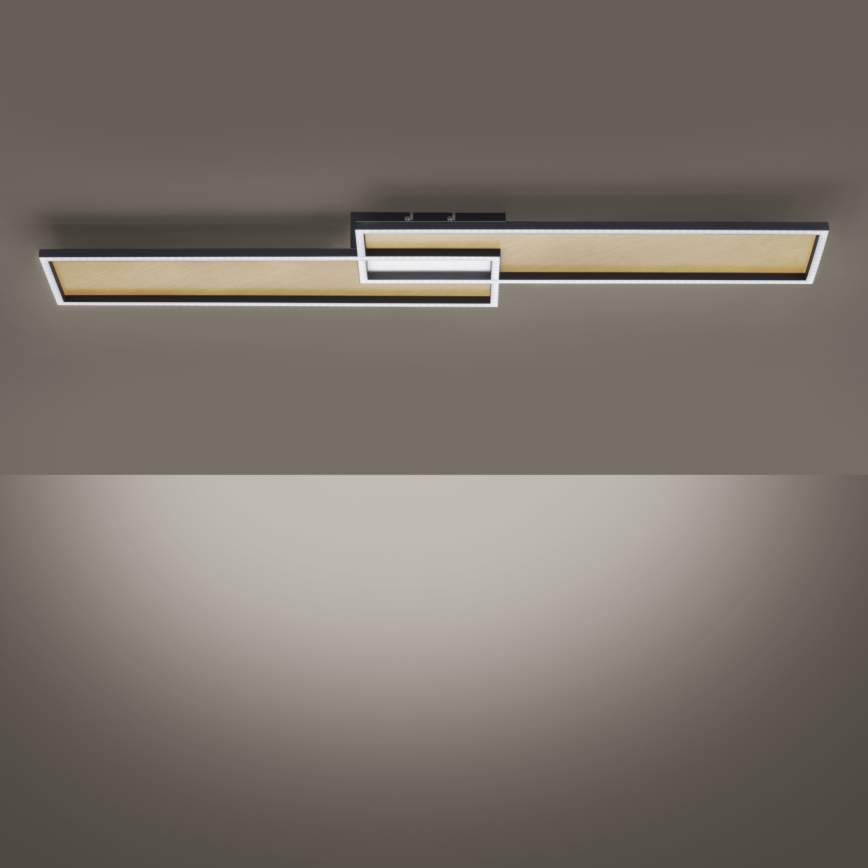 Paul Neuhaus 8371-18 - LED Dimming ceiling light AMARA LED/40W/230V + RC