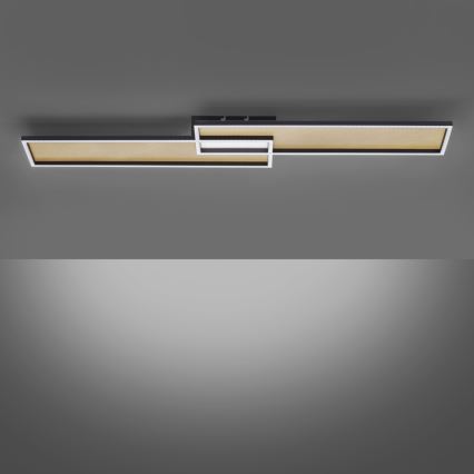 Paul Neuhaus 8371-18 - LED Dimming ceiling light AMARA LED/40W/230V + RC