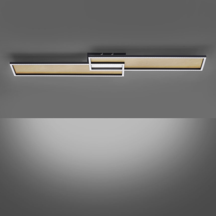 Paul Neuhaus 8371-18 - LED Dimming ceiling light AMARA LED/40W/230V + RC