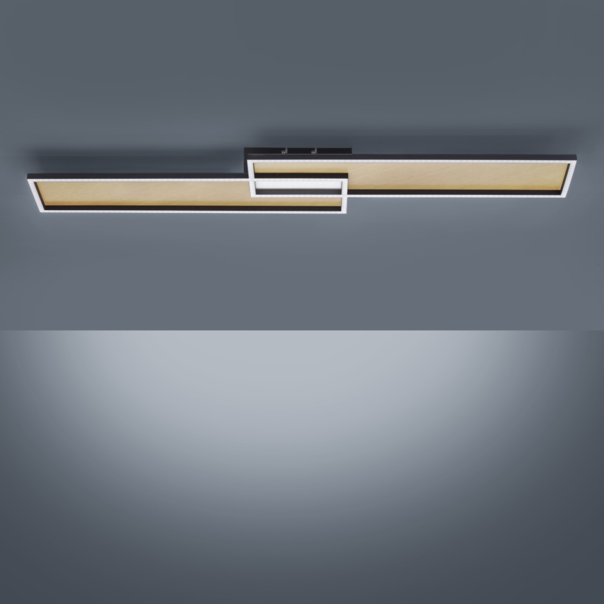 Paul Neuhaus 8371-18 - LED Dimming ceiling light AMARA LED/40W/230V + RC