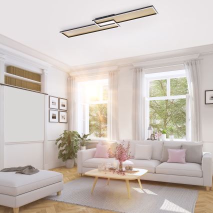 Paul Neuhaus 8371-18 - LED Dimming ceiling light AMARA LED/40W/230V + RC