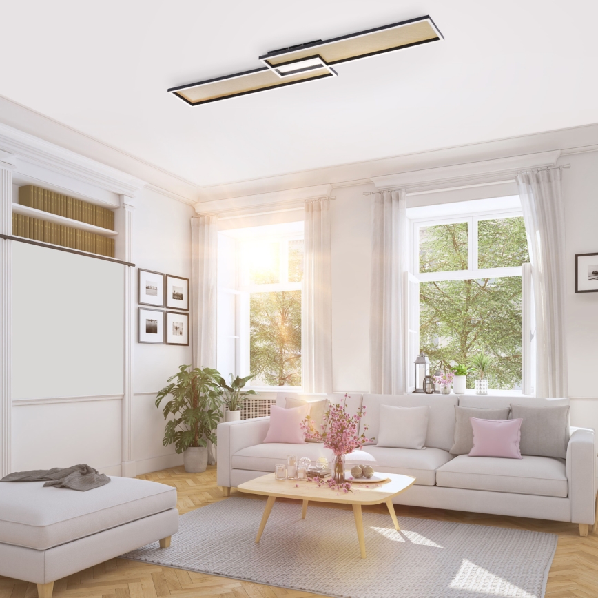 Paul Neuhaus 8371-18 - LED Dimming ceiling light AMARA LED/40W/230V + RC