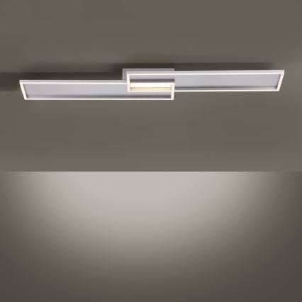 Paul Neuhaus 8371-55 - LED Dimming ceiling light AMARA LED/40W/230V + RC