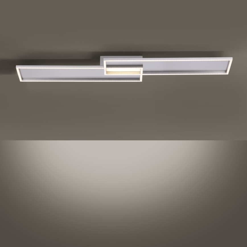 Paul Neuhaus 8371-55 - LED Dimming ceiling light AMARA LED/40W/230V + RC