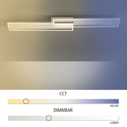 Paul Neuhaus 8371-55 - LED Dimming ceiling light AMARA LED/40W/230V + RC