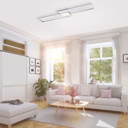 Paul Neuhaus 8371-55 - LED Dimming ceiling light AMARA LED/40W/230V + RC