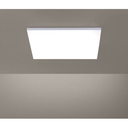 Paul Neuhaus 8492-16 - LED Dimmable surface-mounted panel FRAMELESS LED/35W/230V + remote control